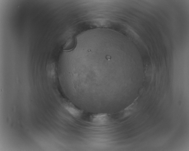 X0000070240132200606021140