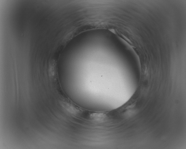 X0000070240133200606021140