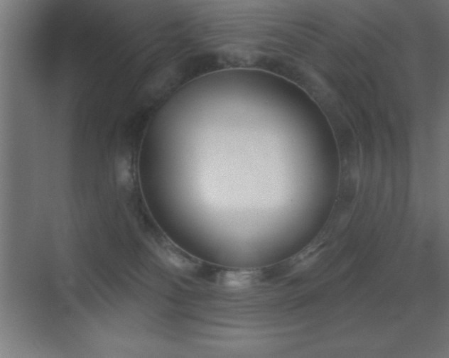 X0000070240134200606021140