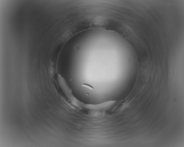 X0000070240135200606021140