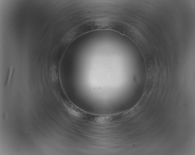 X0000070240136200606021140