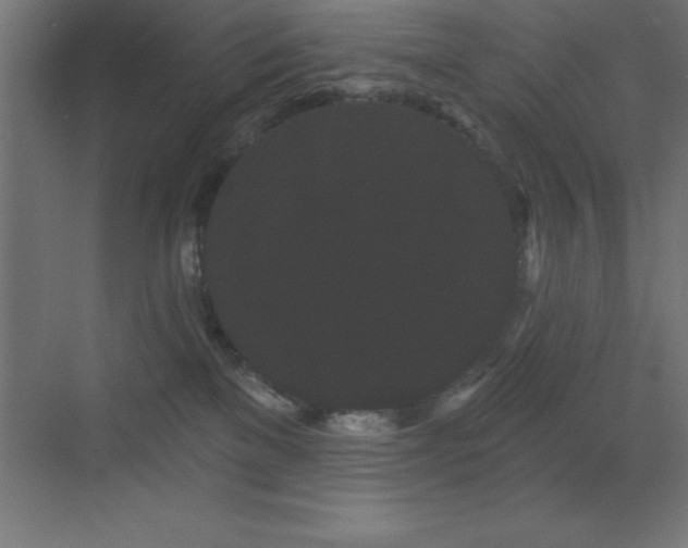 X0000070240137200606021140