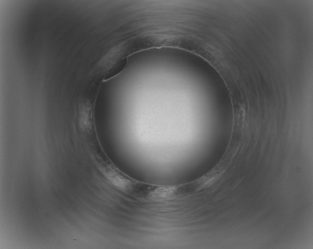 X0000070240138200606021140