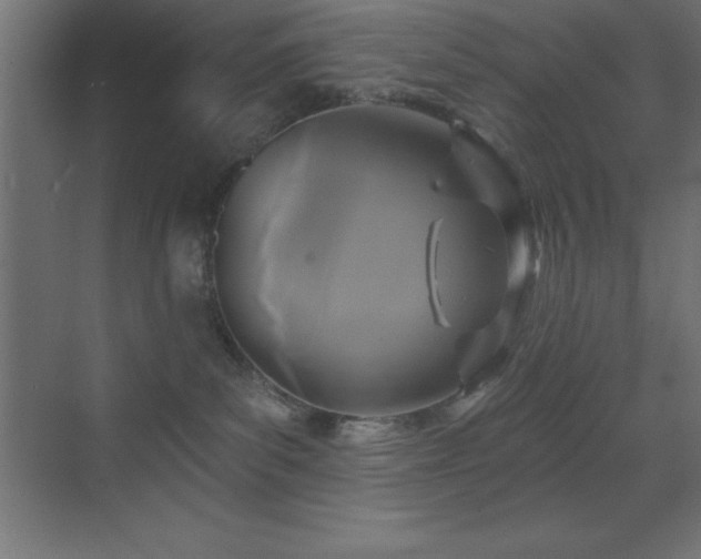 X0000070240139200606021140