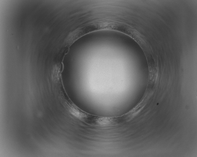 X0000070240142200606021140