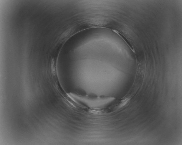 X0000070240143200606021139