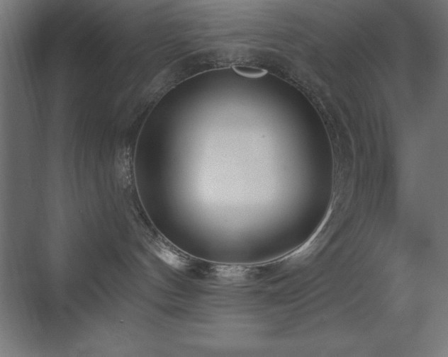 X0000070240144200606021139