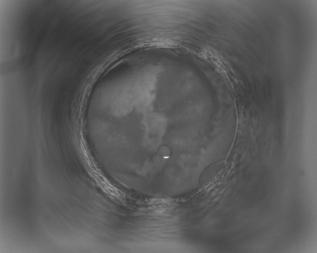 X0000070240145200606021139