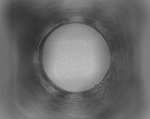 X0000070240146200606021139