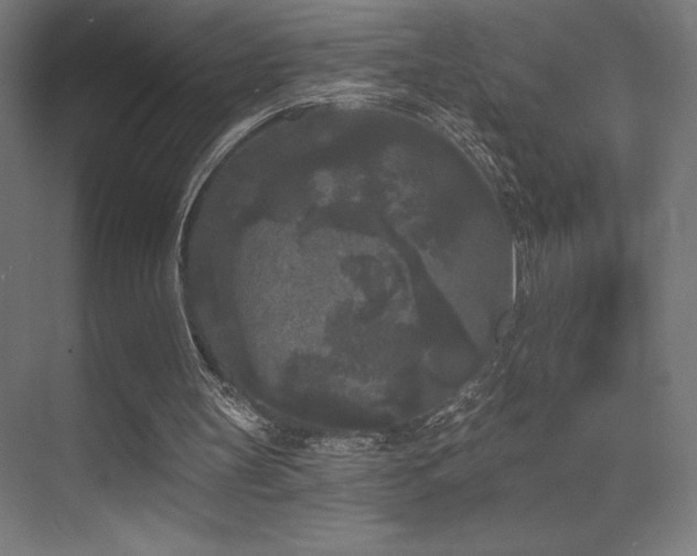 X0000070240147200606021139