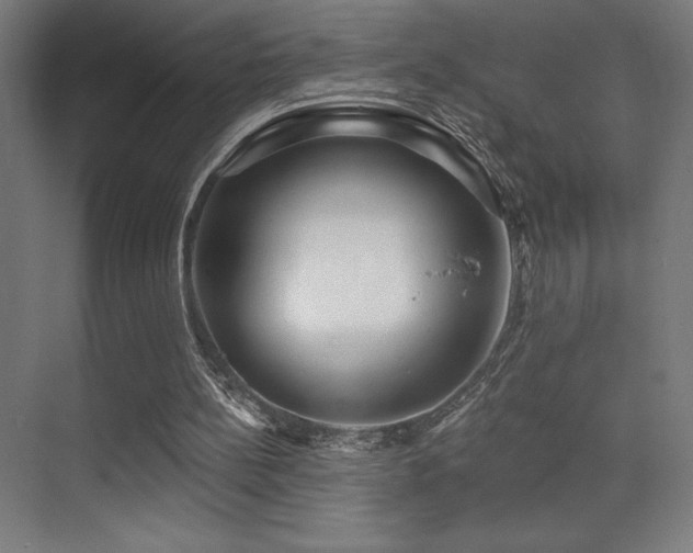 X0000070240148200606021139