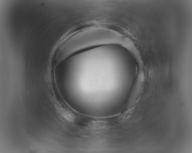 X0000070240150200606021139