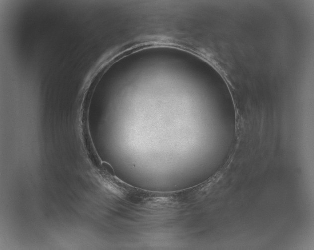 X0000070240151200606021139