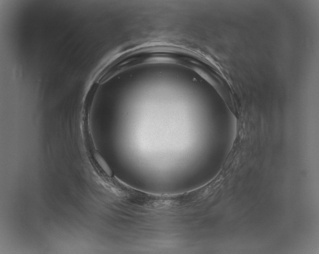 X0000070240152200606021139