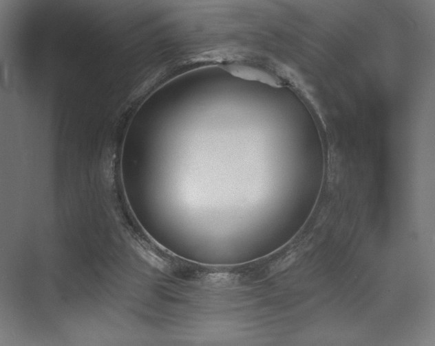 X0000070240153200606021139