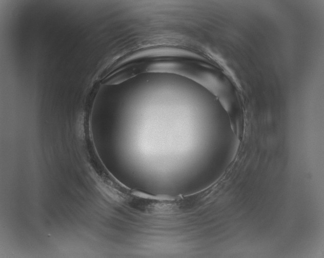 X0000070240154200606021139