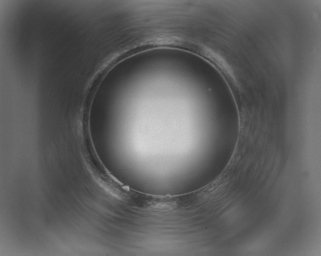 X0000070240155200606021139