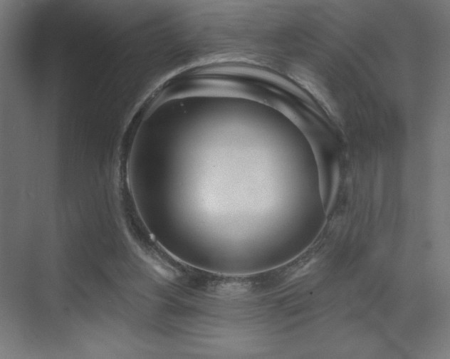 X0000070240156200606021139