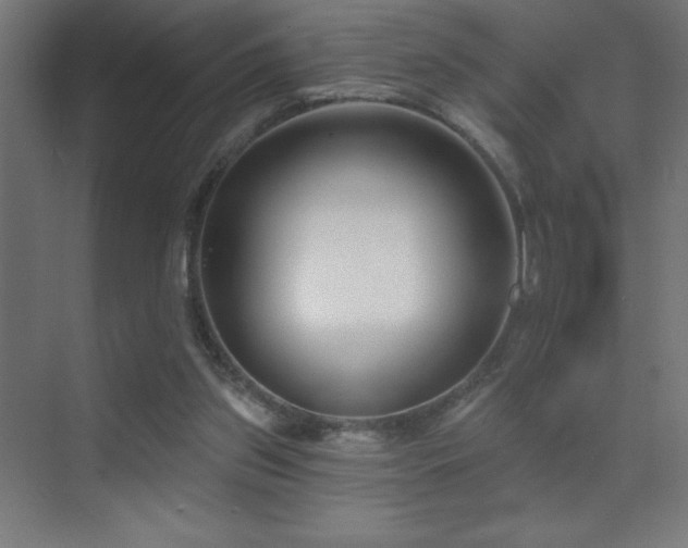 X0000070240157200606021139