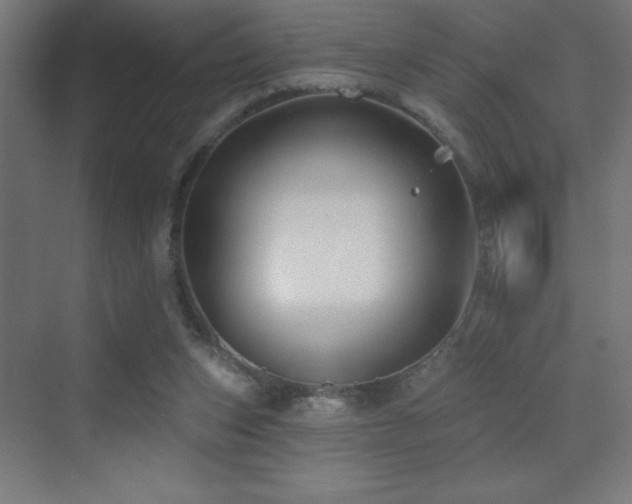 X0000070240159200606021139