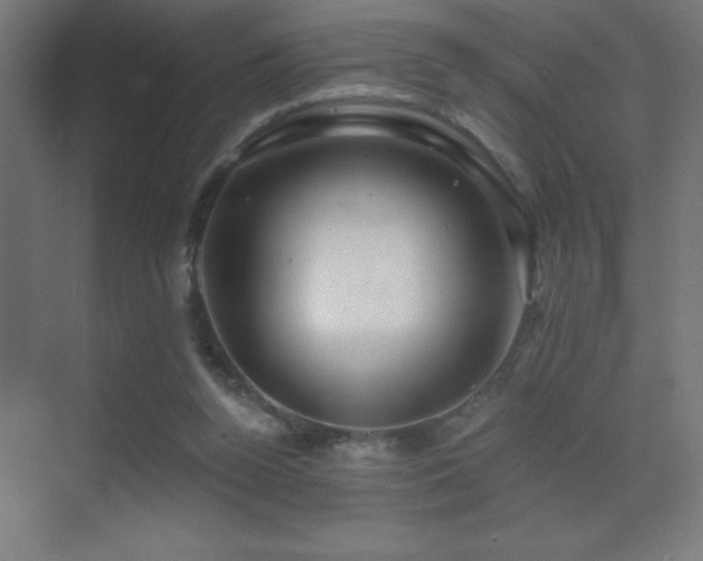 X0000070240160200606021139