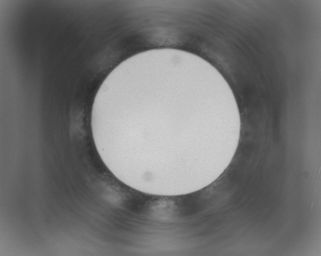 X0000070240162200606021139