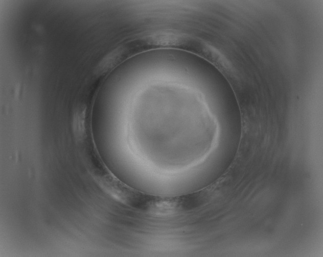 X0000070240163200606021139