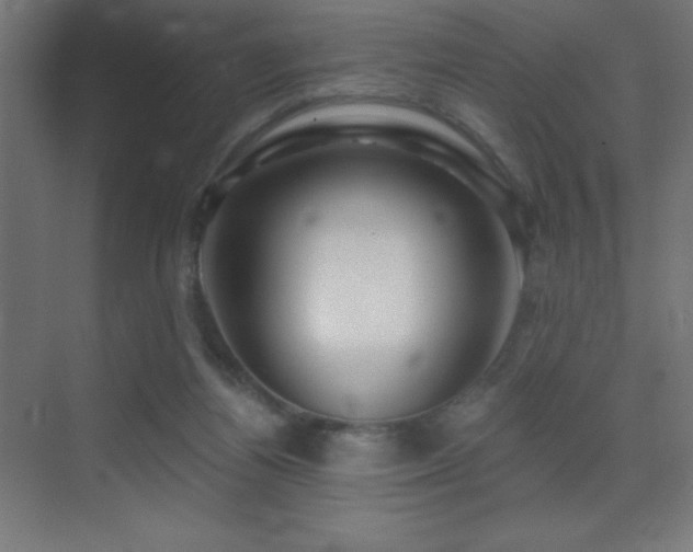 X0000070240164200606021139