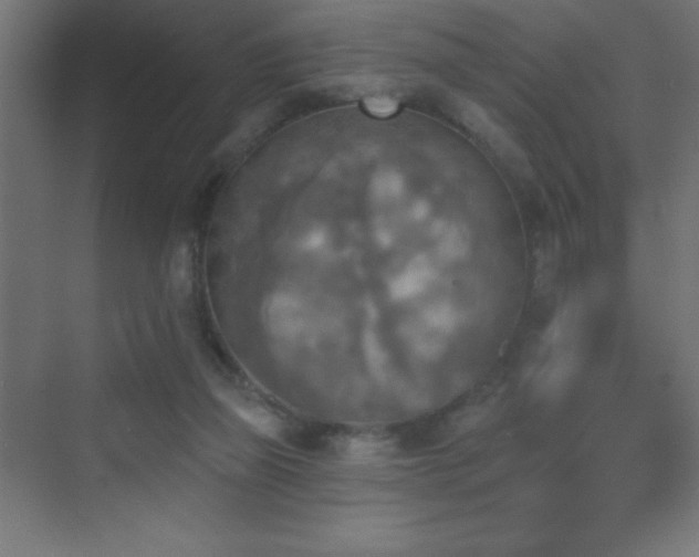 X0000070240165200606021139