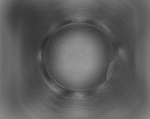 X0000070240166200606021139