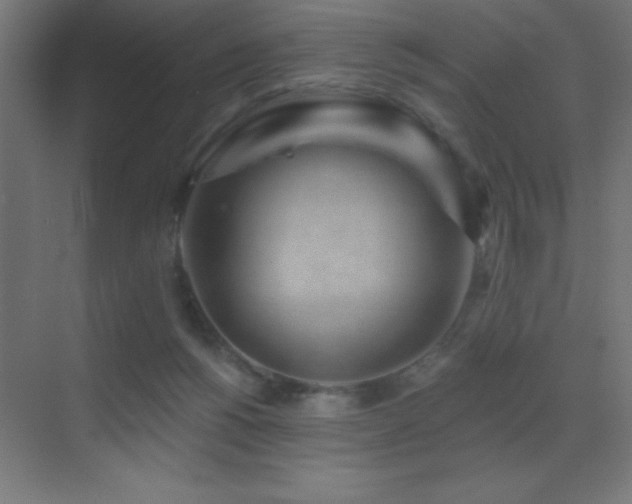 X0000070240168200606021139