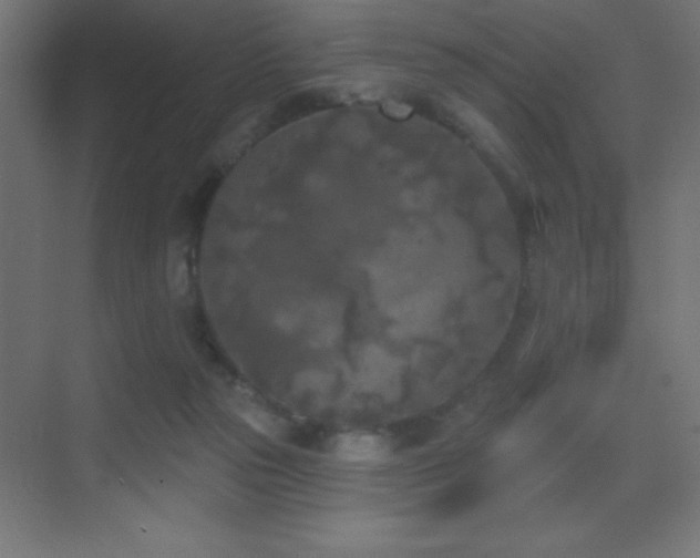 X0000070240169200606021139