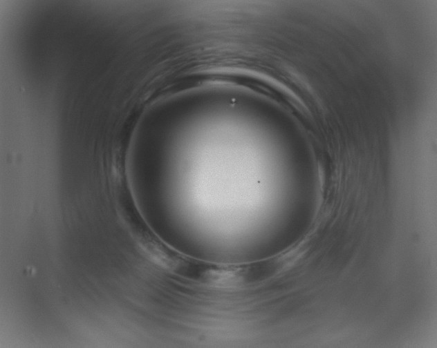 X0000070240170200606021139