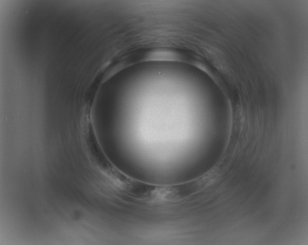 X0000070240172200606021139