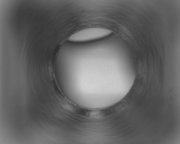 X0000070240173200606021139