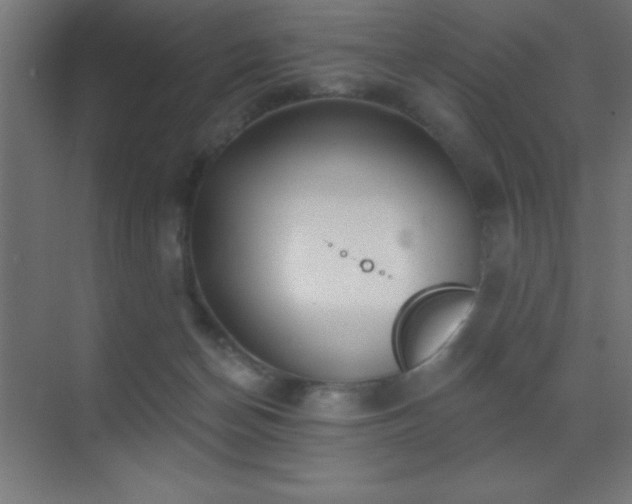 X0000070240174200606021139