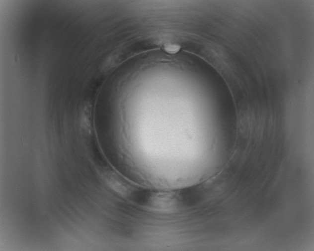 X0000070240175200606021139