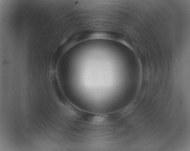 X0000070240176200606021139