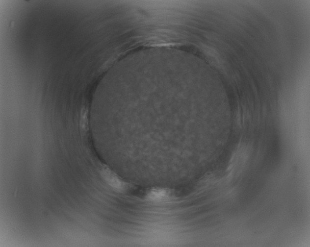 X0000070240177200606021139