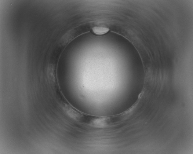 X0000070240178200606021139