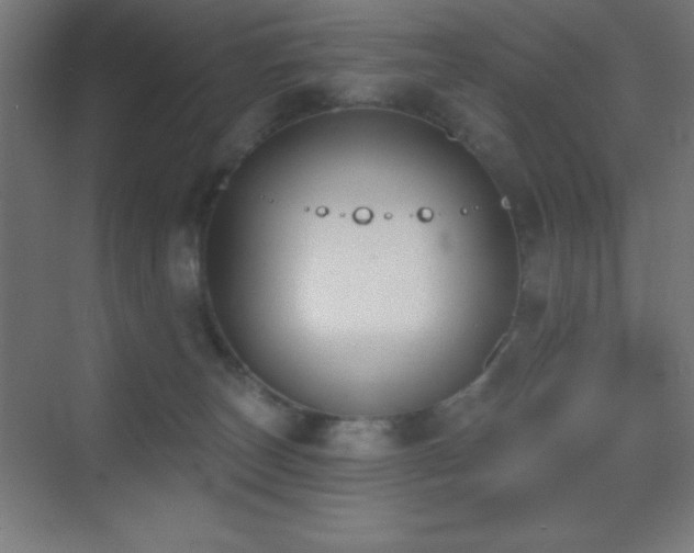 X0000070240179200606021139