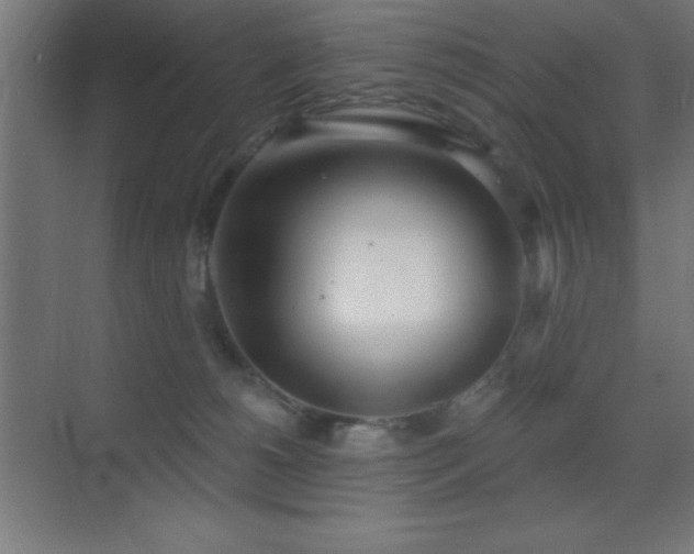 X0000070240180200606021139