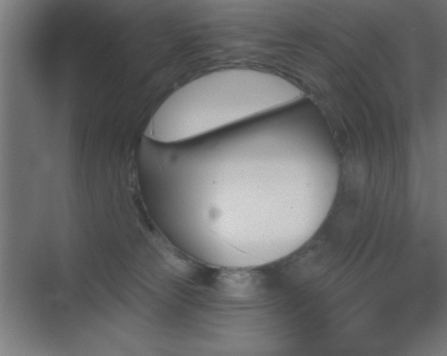 X0000070240181200606021139