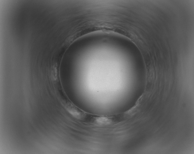 X0000070240183200606021139