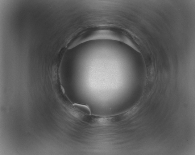 X0000070240184200606021139