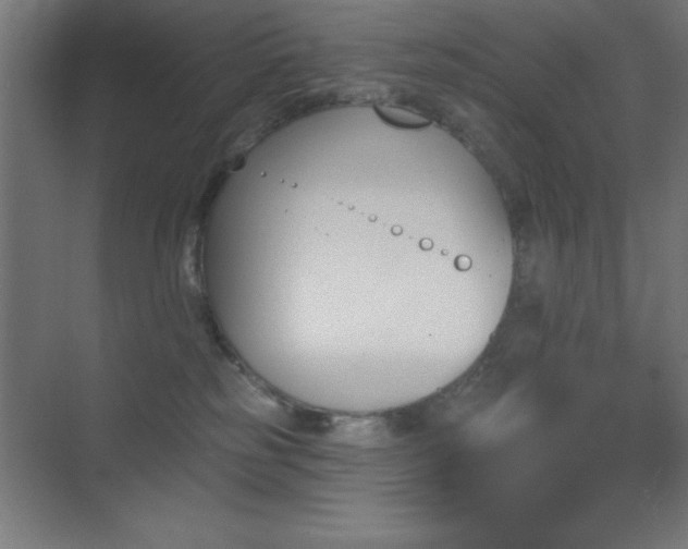 X0000070240185200606021139