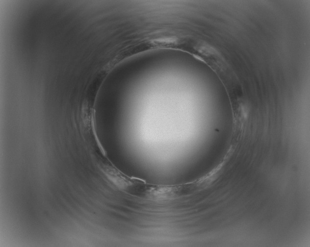 X0000070240186200606021139