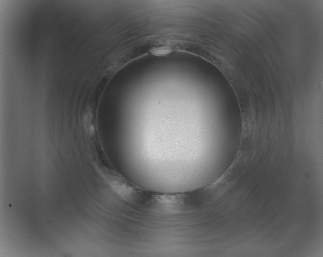 X0000070240187200606021139