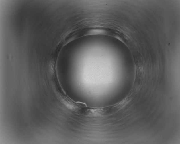 X0000070240188200606021139