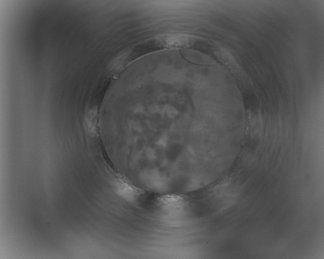 X0000070240189200606021139